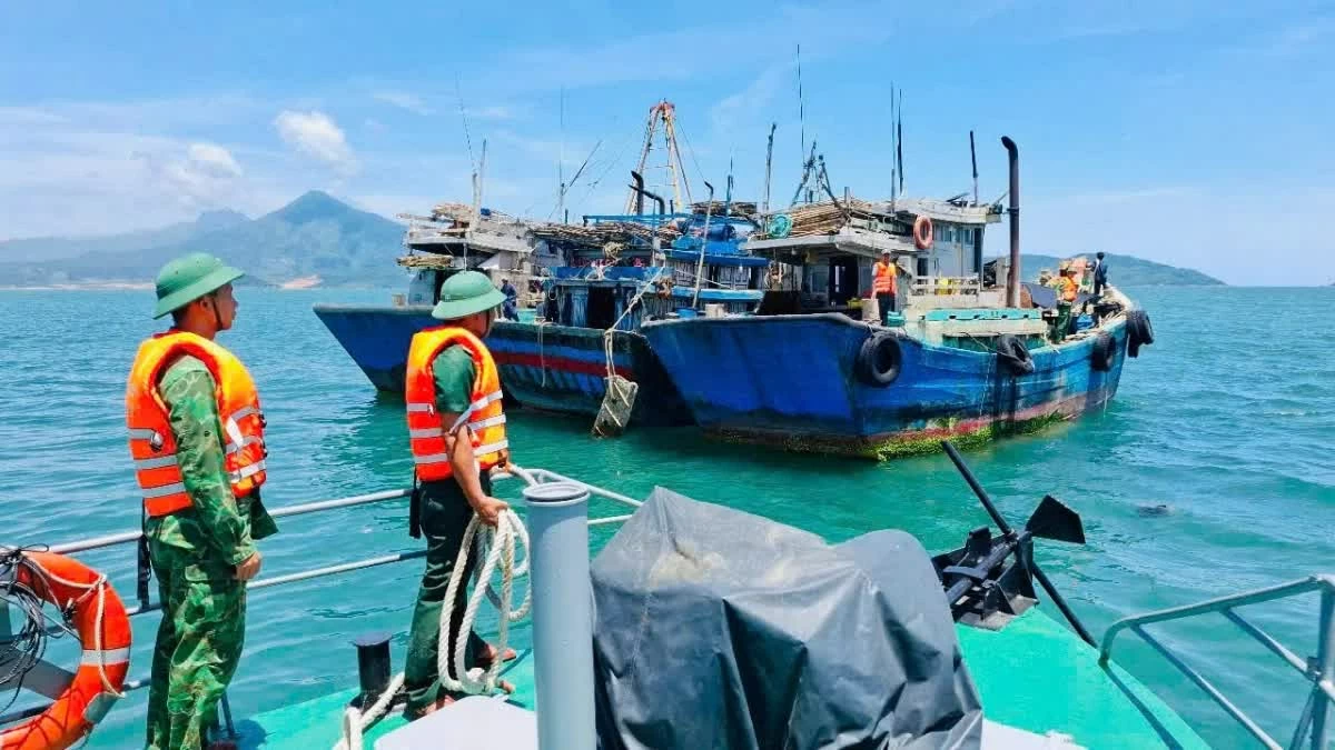 Đà Nẵng thông qua chính sách hỗ trợ phát triển thủy sản, nỗ lực khắc phục ‘thẻ vàng’ IUU