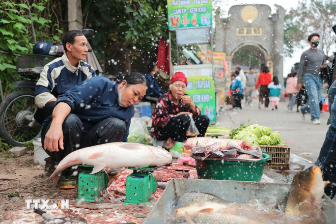 ttxvn-phien-cho-dinh-ca-7.jpg