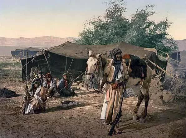 Người Bedouin và nhịp vó sinh tồn trên sa mạc Người Bedouin và nhịp vó sinh tồn trên sa mạc