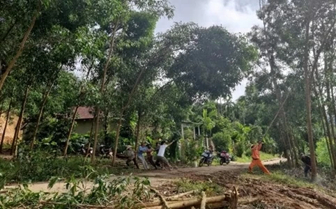 Lịch cúp điện Thành phố Huế hôm nay ngày 6/3/2026 Lịch cúp điện Thành phố Huế hôm nay ngày 6/3/2026
