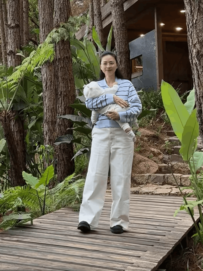 Sao Việt: