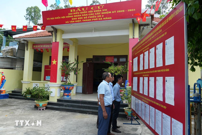 Cụm đảo Cù Lao Chàm: Cột mốc chủ quyền rực rỡ sắc cờ trước ngày hội lớn Cụm đảo Cù Lao Chàm: Cột mốc chủ quyền rực rỡ sắc cờ trước ngày hội lớn
