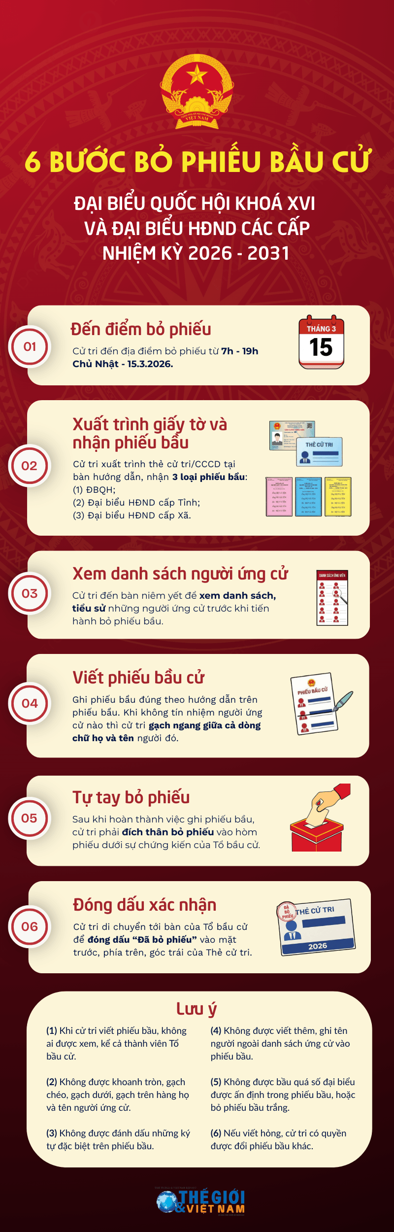 infographic infographic