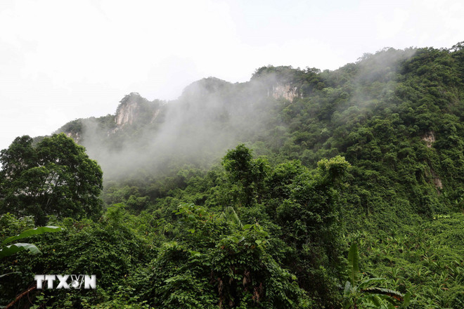 Phong Nha-Kẻ Bàng: Kho báu sinh học chưa được khám phá giữa đại ngàn Trường Sơn