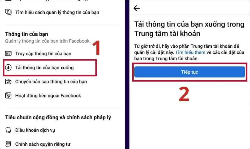 Kéo xuống mục Thông tin của bạn, chọn Tải thông tin của bạn xuống và nhấn Tiếp tục.
