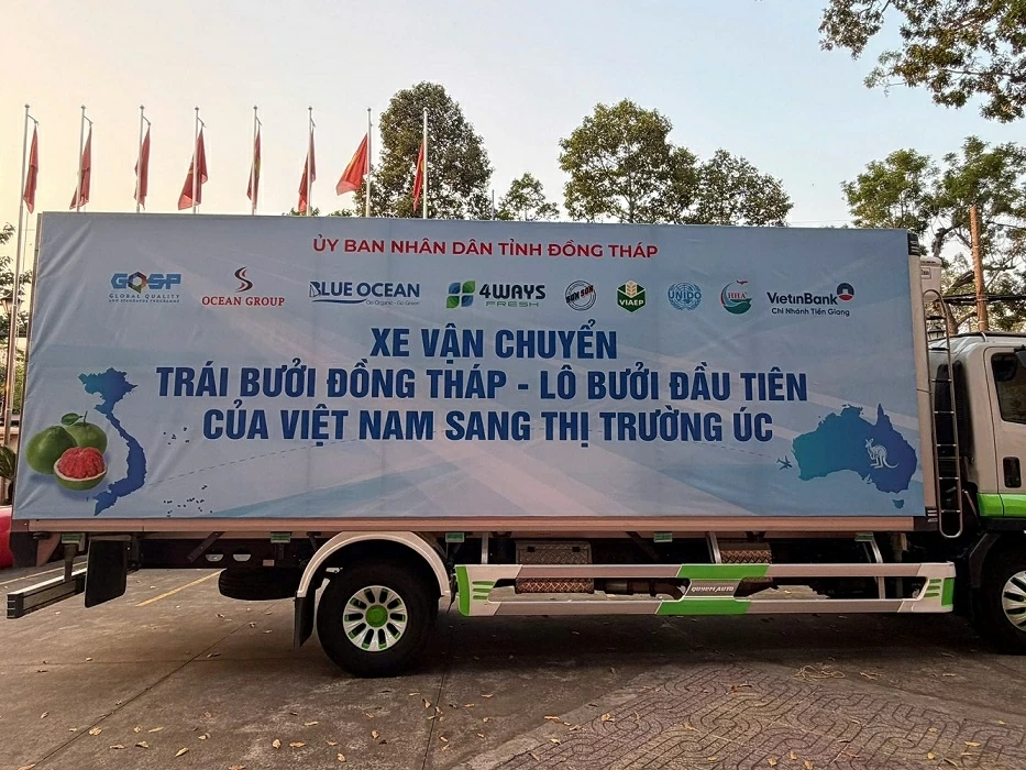 Trái bưởi Việt Nam lần đầu tiên hiện diện tại thị trường Australia