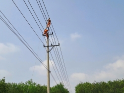 Lịch cúp điện Quảng Ngãi hôm nay ngày 29/4/2026