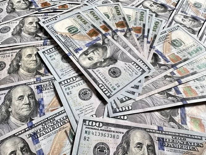đồng USD. (Nguồn: Vneconomy)