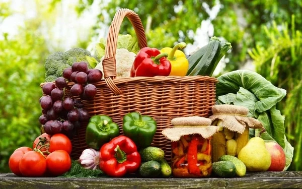 Ăn nhiều trái cây có liên quan ung thư phổi ở người trẻ? Chuyên gia cảnh báo điều quan trọng