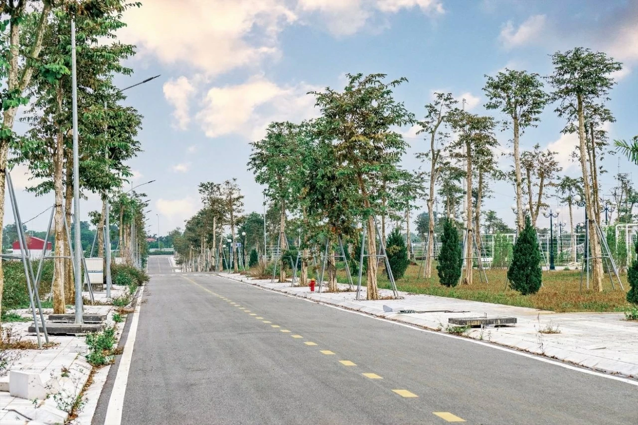 Hàng cây xanh phủ bóng những con đường nội khu Sao Mai Residence.