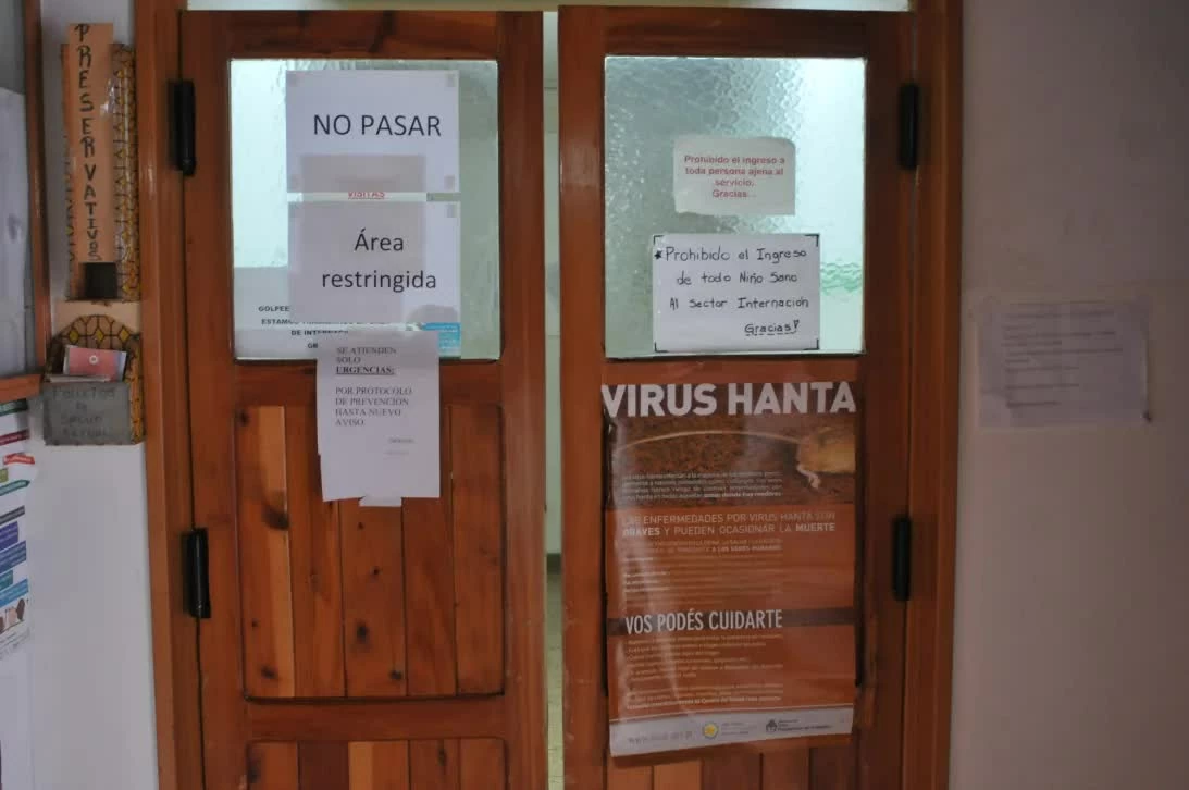 Virus Hanta chủng Andes: Ẩn số dịch tễ từ làng Epuyen tới tàu du lịch MV Hondius