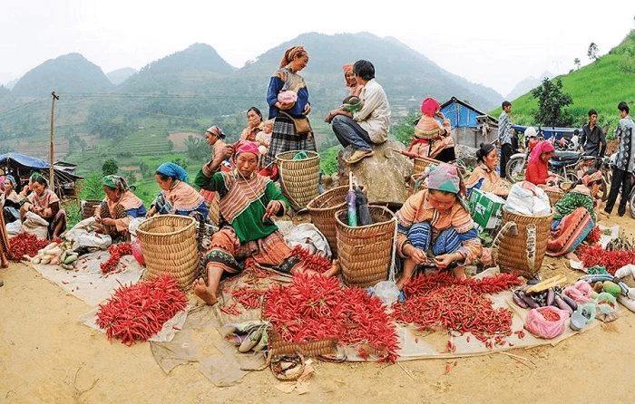 Chợ phiên Tả Sìn Thàng: Điểm hẹn văn hóa sống giữa núi rừng Điện Biên