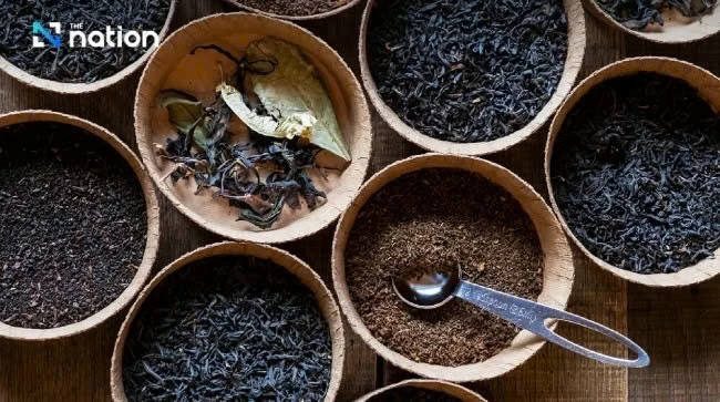 Ngày quốc tế Trà: Hơn cả một thức uống toàn cầu Ngày quốc tế Trà: Hơn cả một thức uống toàn cầu
