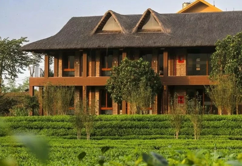 Vùng chè Tân Cương (Thái Nguyên): Gắn sản xuất nông nghiệp với phát triển du lịch cộng đồng Vùng chè Tân Cương (Thái Nguyên): Gắn sản xuất nông nghiệp với phát triển du lịch cộng đồng