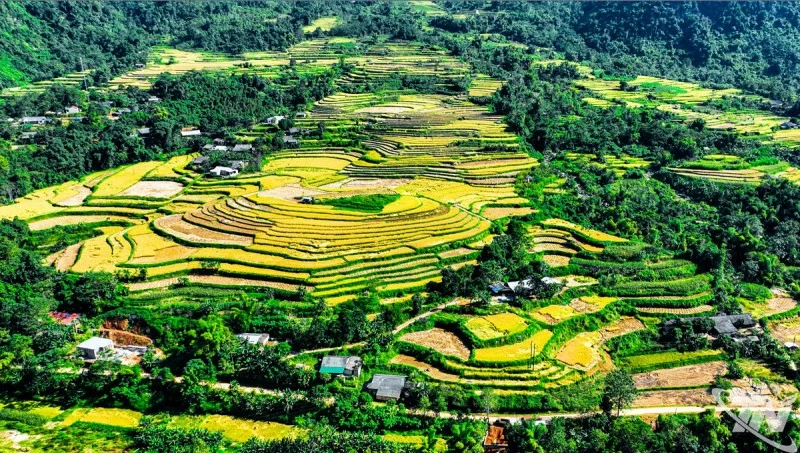 Vẻ đẹp mùa vàng ở Đồng Phúc, tỉnh Thái Nguyên