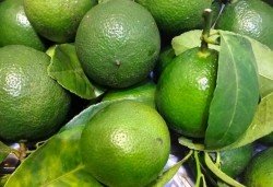 Vỏ chanh và những lợi ích sức khỏe nhưng cần dùng đúng cách