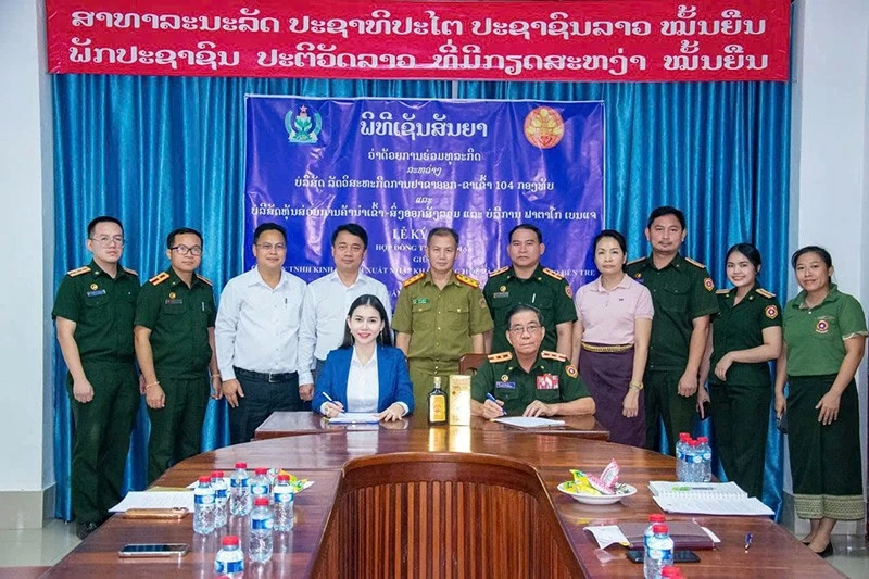 Hoa hậu Doanh nhân 2026 Nguyễn Hoàng Vân - Hành trình của nhan sắc, trí tuệ và lòng nhân ái