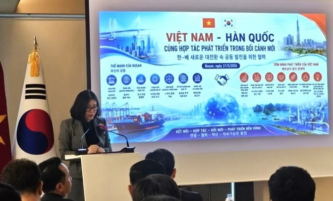 Tọa đàm Việt Nam-Hàn Quốc cùng hợp tác phát triển trong bối cảnh mới tại Busan