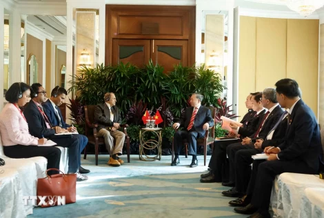 Tổng Bí thư, Chủ tịch nước Tô Lâm gặp Tổng thống Timor Leste José Ramos-Horta Tổng Bí thư, Chủ tịch nước Tô Lâm gặp Tổng thống Timor Leste José Ramos-Horta