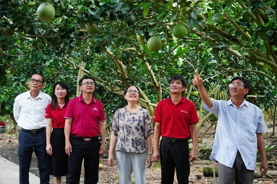 Agribank - Dòng vốn lan tỏa, kiến tạo phát triển bền vững tại Đồng bằng sông Cửu Long