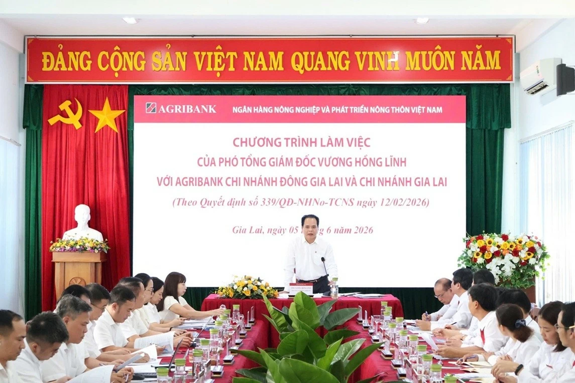 Phó Tổng Giám đốc Agribank Vương Hồng Lĩnh phát biểu chỉ đạo buổi làm việc.