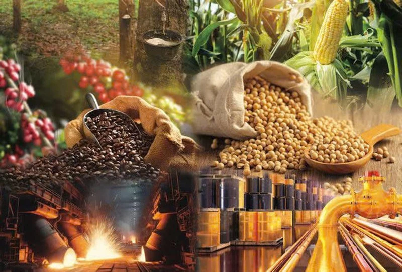 Ông Lê Đình Thành: Một thị trường nghìn tỷ đang thức giấc tại Việt Nam - Cơ hội thuộc về ai? Ông Lê Đình Thành: Một thị trường nghìn tỷ đang thức giấc tại Việt Nam - Cơ hội thuộc về ai?
