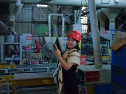 Vai trò của doanh nghiệp vật liệu xây dựng trong xu hướng mới