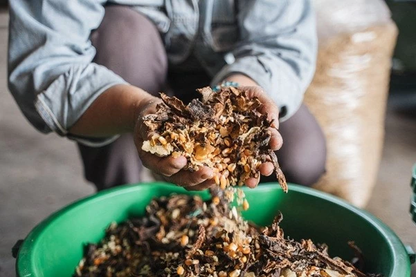 Từ phụ phẩm cacao đến hướng đi cho nông nghiệp xanh và phát triển bền vững