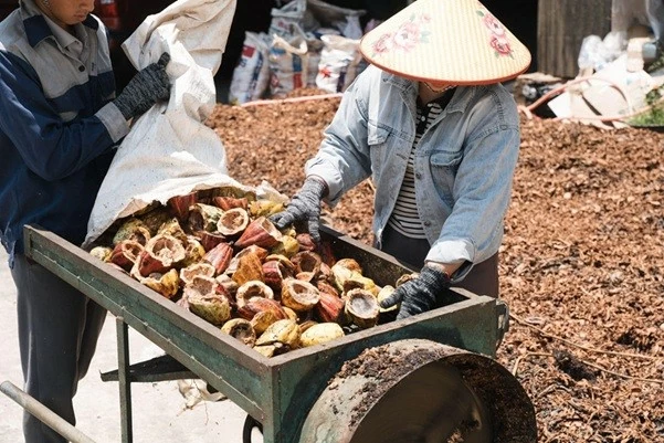 Từ phụ phẩm cacao đến hướng đi cho nông nghiệp xanh và phát triển bền vững