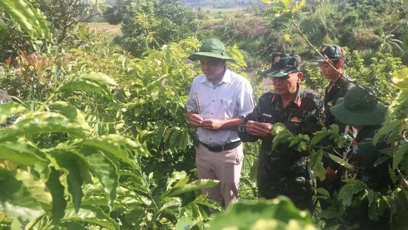Đắk Lắk: Xã Krông Bông quy tập được 2 hài cốt liệt sĩ tại khu vực núi Đá Đen, dưới chân dãy núi Chư Yang Sin Đắk Lắk: Xã Krông Bông quy tập được 2 hài cốt liệt sĩ tại khu vực núi Đá Đen, dưới chân dãy núi Chư Yang Sin