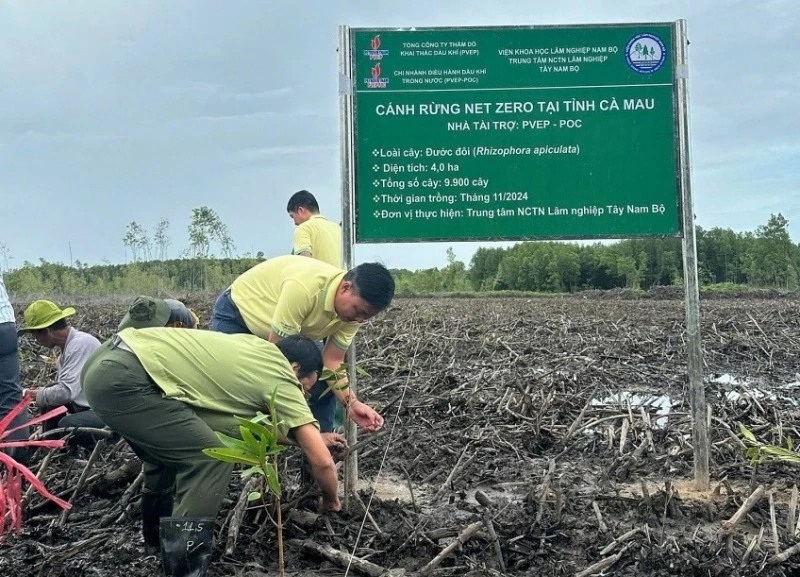 PVEP chung tay ‘vun đắp lá phổi xanh’ cho tương lai PVEP chung tay ‘vun đắp lá phổi xanh’ cho tương lai