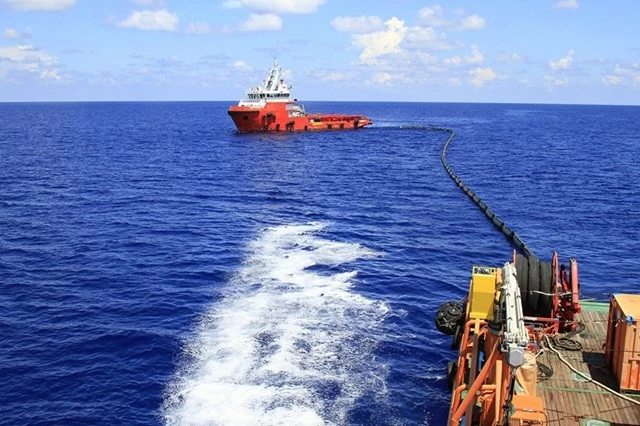 PVEP chung tay ‘vun đắp lá phổi xanh’ cho tương lai PVEP chung tay ‘vun đắp lá phổi xanh’ cho tương lai