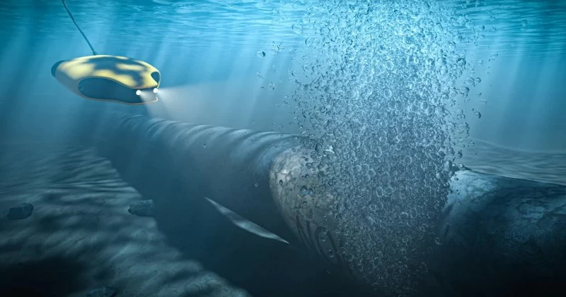 Vụ nổ đường ống Nord Stream: Đức đưa ra ánh sáng vụ phá hoại lớn nhất, bí ẩn nhất lịch sử hiện đại