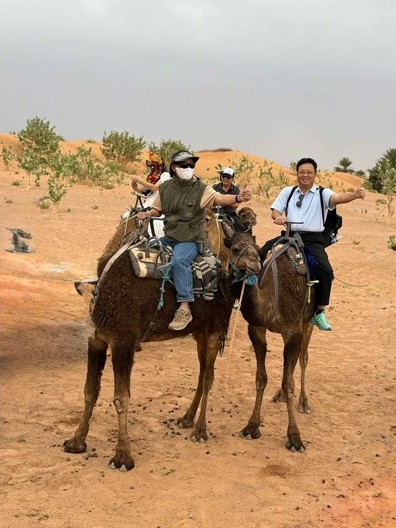31.13. Morocco – Dải lụa xanh giữa sa mạc Sahara