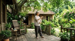 Sống dưới bóng cây xanh giúp người già giảm nguy cơ trầm cảm