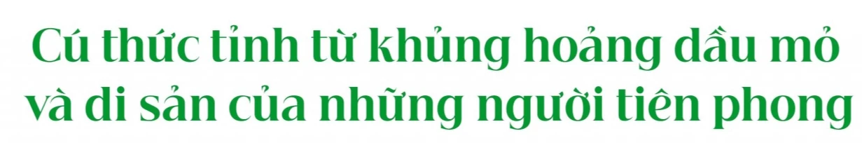 Năng lượng xanh: Kinh nghiệm của Đan Mạch và hành trình nửa thế kỷ đồng hành cùng Việt Nam