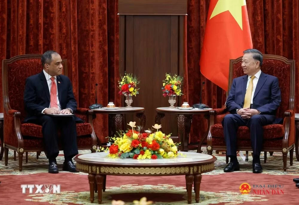 Tổng Bí thư, Chủ tịch nước Tô Lâm tiếp Đại sứ, Đại biện các nước ASEAN chào xã giao