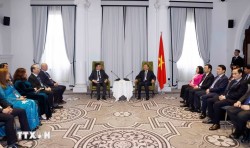 Tổng Bí thư, Chủ tịch nước Tô Lâm tiếp trí thức, nhà khoa học tiêu biểu người Việt Nam tại Australia