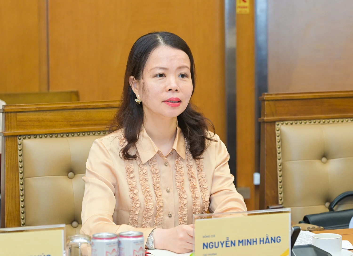 Đẩy mạnh ngoại giao năng lượng, mở rộng không gian phát triển cho Petrovietnam tại Trung Đông và Châu Phi