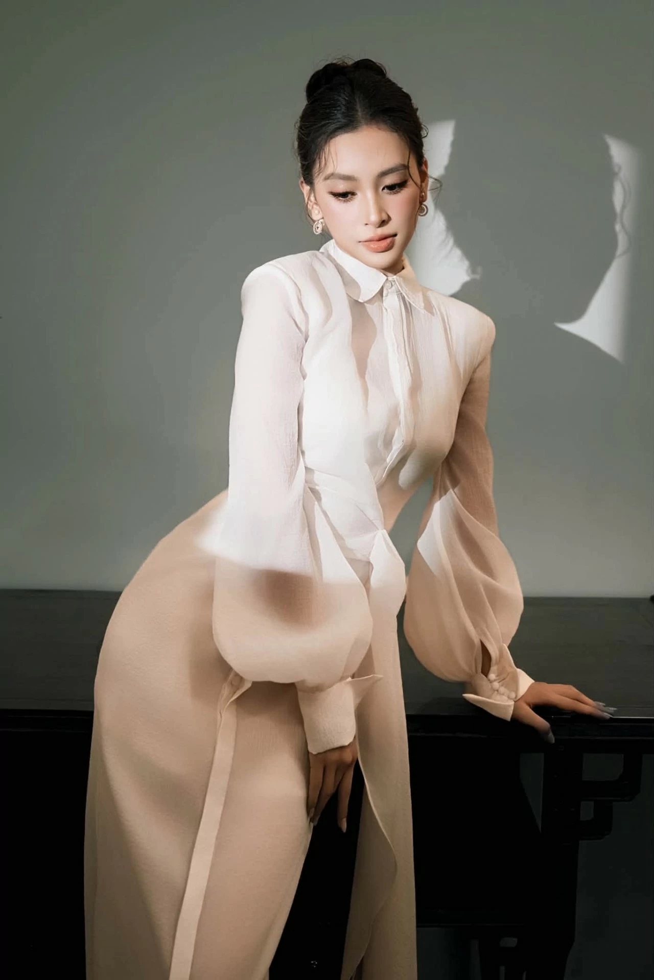 Hoa hậu Trần Tiểu Vy Hoa hậu Trần Tiểu Vy