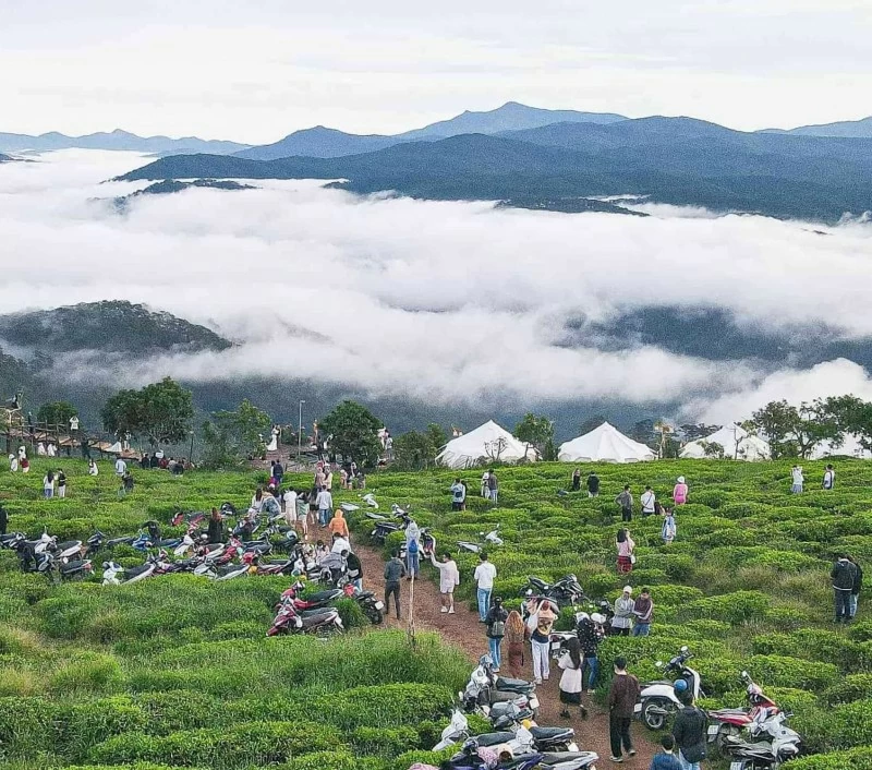 Biển mây ở Đà Lạt. Ảnh: Linh Trang Biển mây ở Đà Lạt. Ảnh: Linh Trang