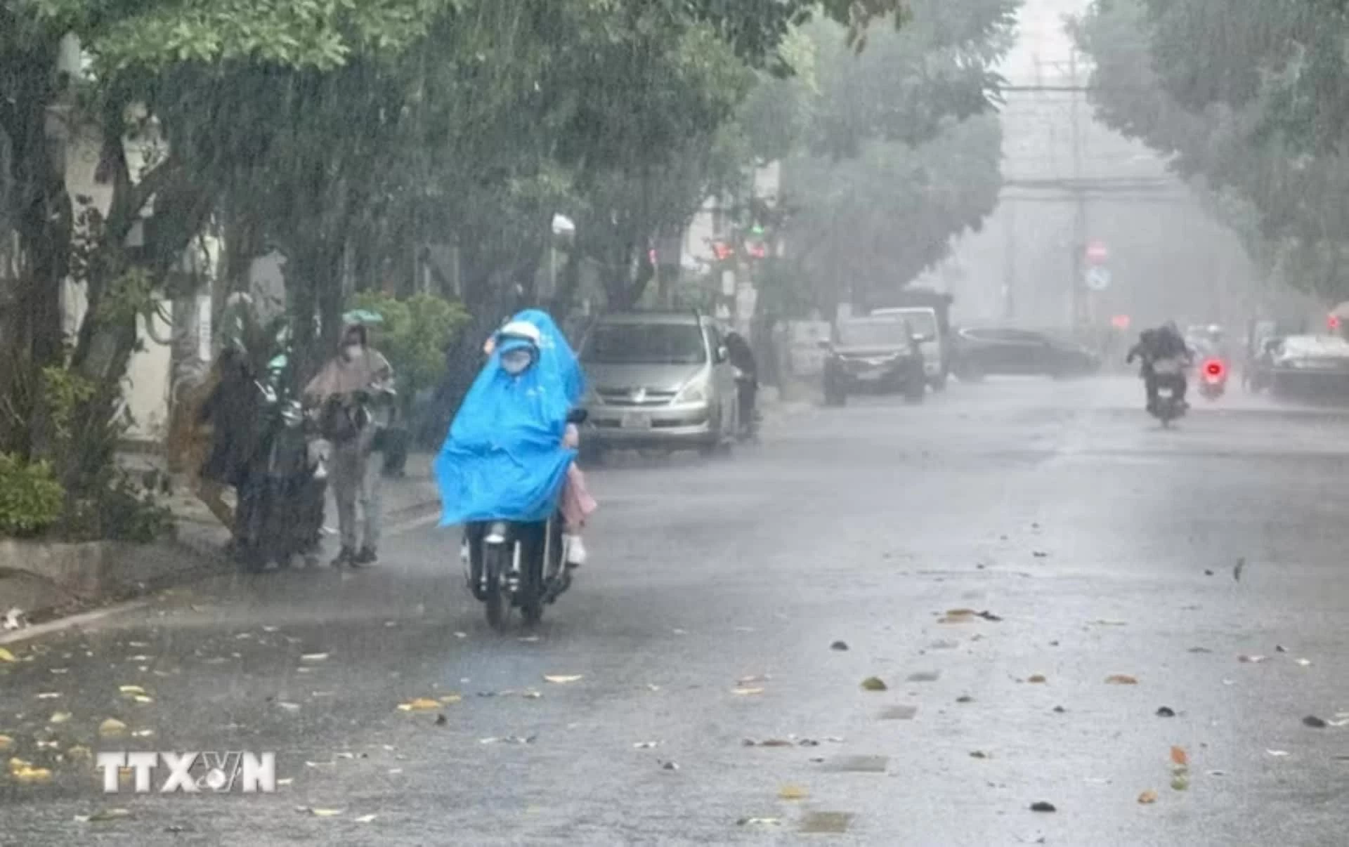 Các địa phương Bắc Bộ và từ Thanh Hóa đến Hà Tĩnh rà soát vùng nguy cơ, sẵn sàng sơ tán dân, bảo đảm an toàn trước mưa lớn. (Nguồn: TTXVN)
