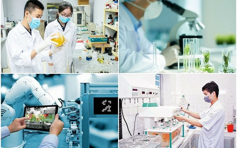 Chỉ đạo, điều hành của Chính phủ, Thủ tướng Chính phủ nổi bật tuần 8-14/8/2026 Chỉ đạo, điều hành của Chính phủ, Thủ tướng Chính phủ nổi bật tuần 8-14/8/2026