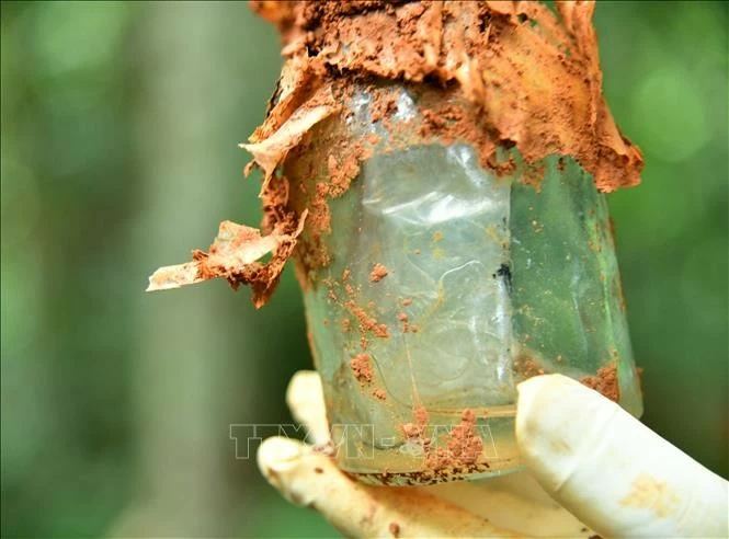 Những bước chân không nghỉ trong Chiến dịch 500 ngày đêm Những bước chân không nghỉ trong Chiến dịch 500 ngày đêm