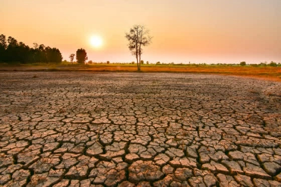 El Niño được dự báo mạnh lên trong những tháng tới, làm gia tăng nguy cơ thời tiết cực đoan và gây thêm sức ép lên sản xuất, giá lương thực cùng chuỗi cung ứng toàn cầu. (Nguồn: Flick Pest Control)