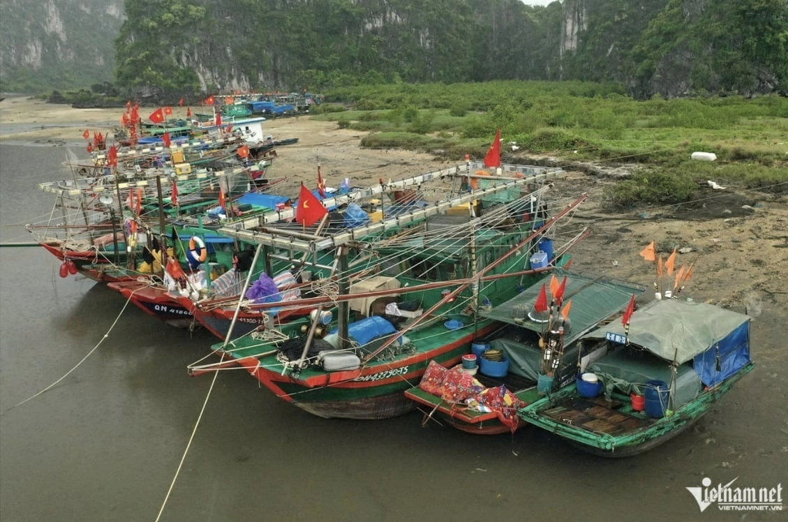 Quảng Ninh tạm ngừng tàu thuyền ra khơi. Ảnh: Phạm Công
