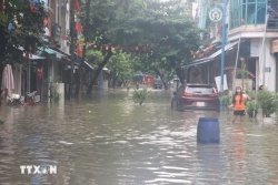 Chủ động ứng phó mưa lớn: Bộ Y tế yêu cầu trực cấp cứu 24/24, không để bùng phát dịch bệnh