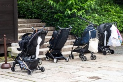 Học giả Nhật Bản: Cần một chính sách đa chiều để giải quyết 