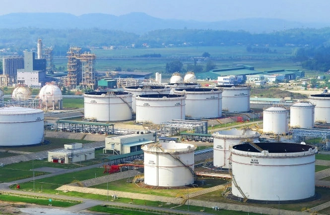 Petrovietnam - “Sếu đầu đàn” cất cánh