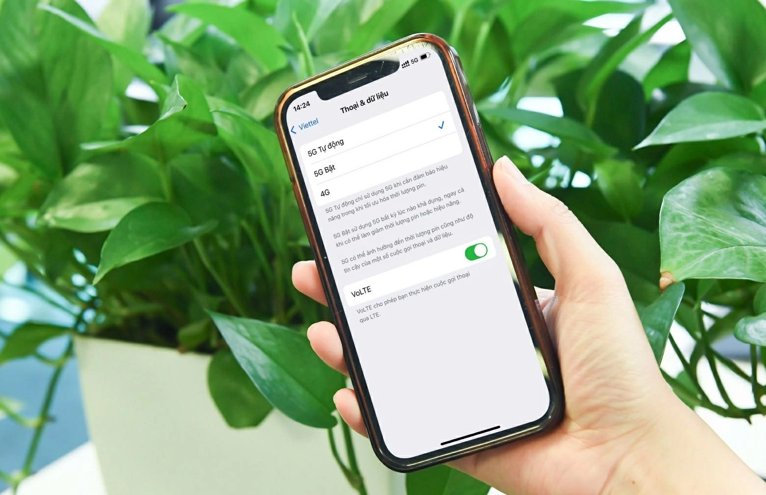 Từ ngày 15/9/2026, sóng 2G sẽ chính thức dừng hoạt động trên phạm vi toàn quốc. (Ảnh: Thu Hằng)